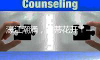 濠江潮涌	，并蒂花开！——写在横琴口岸开通25周年之际