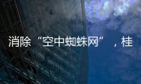 消除“空中蜘蛛网”
，桂山镇整治“头顶难题”见成效