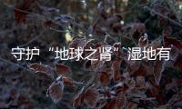 守护“地球之肾”湿地有多重要