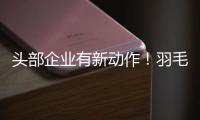 头部企业有新动作！羽毛球又掀“涨价潮”	？