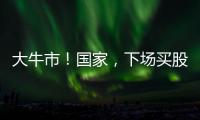 大牛市！国家
，下场买股票