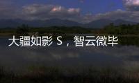 大疆如影 S
，智云微毕S怎么样?