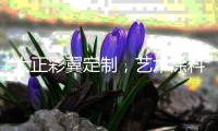 大正彩翼定制，艺术涂料演绎空间气质
