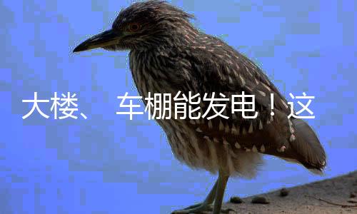 总碳减排量达20.6万吨