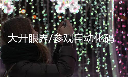 区飞在广州港南沙港区