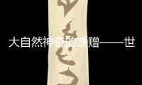 大自然神奇的馈赠——世家丽贝壳粉点亮你的家
