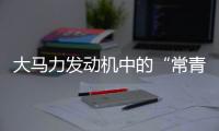 大马力发动机中的“常青树”	�，动力强者的硬核人生