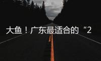 大鱼
�！广东最适合的“2米暴力锋线”曝光
，这可是08级天赋第一人