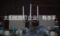 太阳能路灯企业：有杀手锏才能有销量有市场