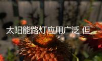 太阳能路灯应用广泛 但高速路上为何没有太阳能路灯？
