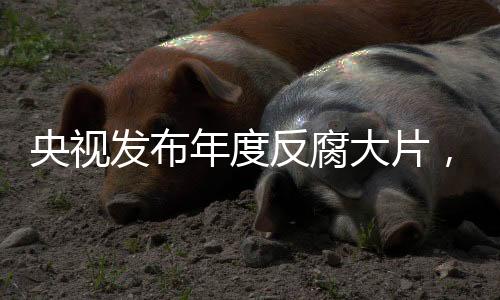 才陈出镜忏悔副局长张福生案