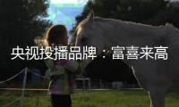 央视投播品牌�	：富喜来高端门 演绎高端生活