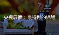 央视展播：最特别的锦鲤——佳得福金门窗