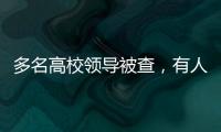 多名高校领导被查，有人主动投案
