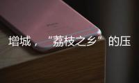 增城，“荔枝之乡”的压力与未来