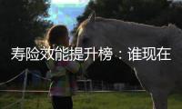 寿险效能提升榜：谁现在领先？谁拥有未来
？