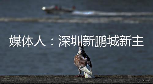 将官经验主教练拉坦齐奥下课