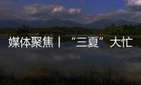 媒体聚焦丨“三夏”大忙正当时，中联重科农机一线展英姿
