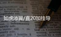 如虎添翼/直20加挂导弹 猎杀装甲车