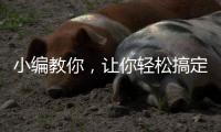 小编教你，让你轻松搞定小家电没烦恼