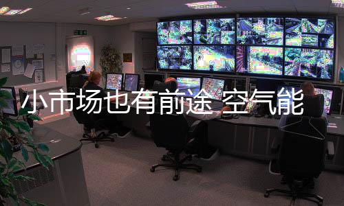 最具利润价值的有前细分市场