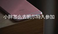 小胖怎么去凯尔特人参加夏联了？ 曾经是CBA的最佳国际球员