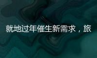 就地过年催生新需求，旅游业该如何应对�？