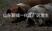 山东聊城一化工厂区发生爆炸，致5死1伤1失联