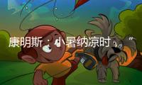 康明斯：小暑纳凉时，“芯”静自然强