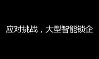 应对挑战，大型智能锁企业要“刹住车”