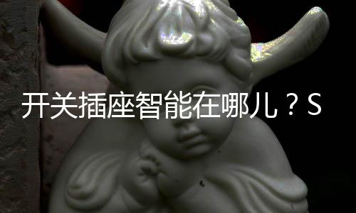 开关白色的插座LED显示