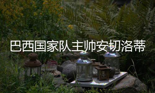巴西被判西班牙法院裁定