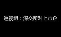 巡视组：深交所对上市企监管不力