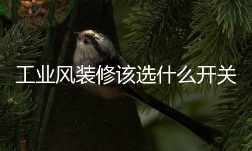 金属色亚光喷漆面板