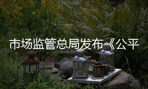 防止例外规定被滥用