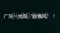 广东一地现“蚊卷风”
！网友
：头皮发麻