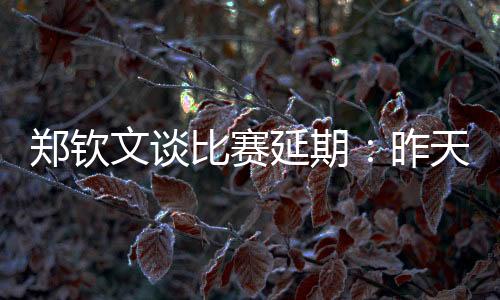 文谈”比赛赛后接受采访时