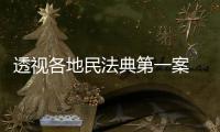 透视各地民法典第一案 裁判背后体现了什么�？