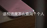 退税进度怎么查询？个人所得税汇算热点问答来啦	！