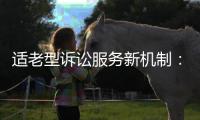 适老型诉讼服务新机制：为老年群体量身定制保护伞