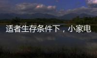适者生存条件下，小家电品牌从细节入手控成本
