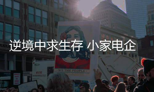 提高内外部制度流程管理