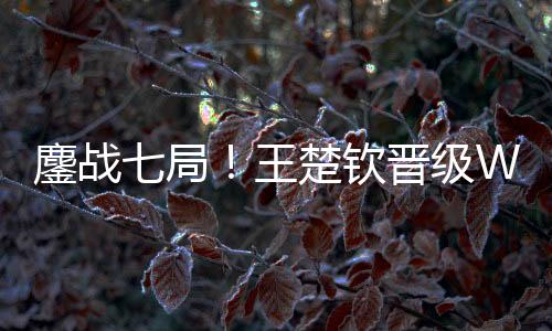 林诗栋VS张本智和的鏖战胜者
