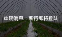 重磅消息：斯特即将登陆中央电视台 问鼎品牌价值巅峰