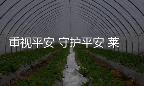 因为唯有工作环境平安