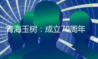 快排公司十年历程，霸屏兔 seo 的崛起与坚守