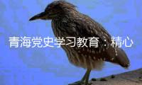 青海党史学习教育�	：精心谋划确保有特色 挖掘红色资源“活教材”