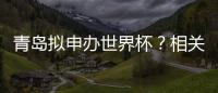 青岛拟申办世界杯
？相关部门回应：不一定是主赛事
