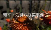 青平：为群众办实事要“踩准步点”
