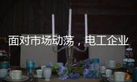 面对市场动荡，电工企业要适应环境变化
